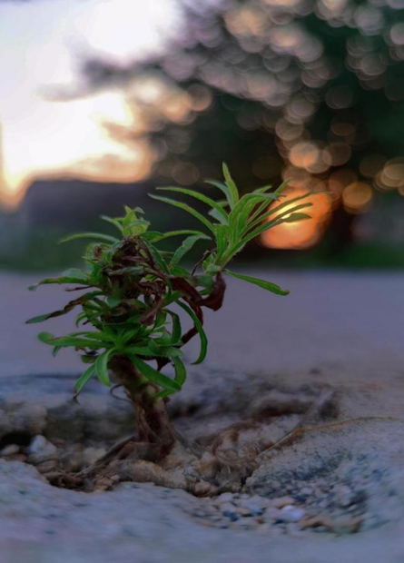 美高梅网上赌博