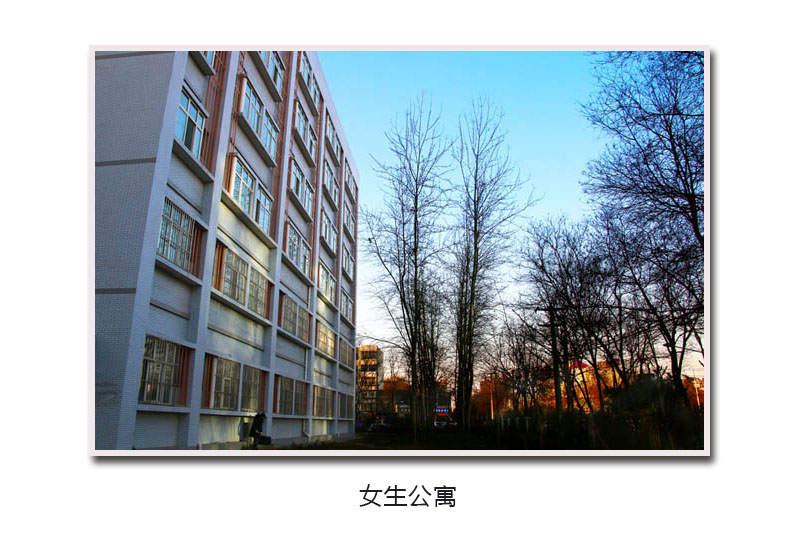 美高梅网上赌博