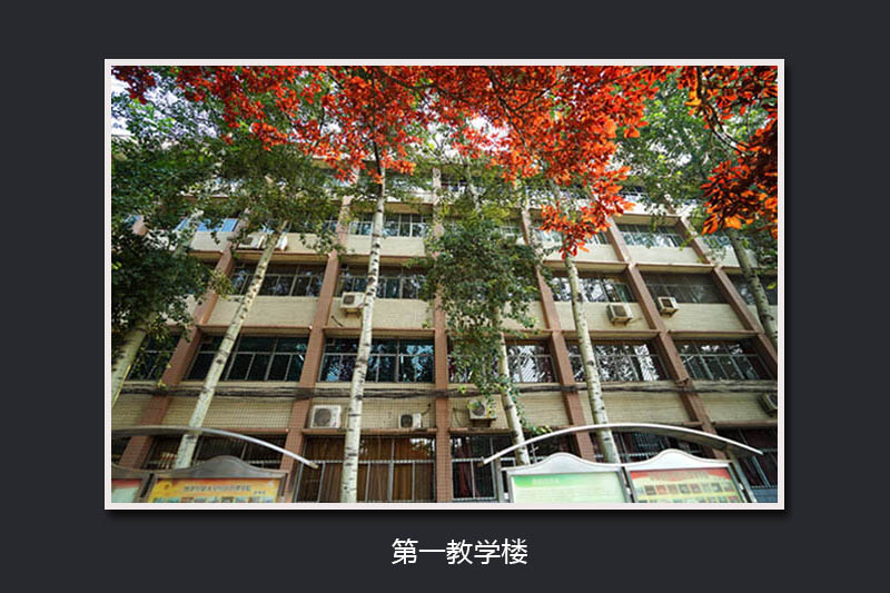 美高梅网上赌博